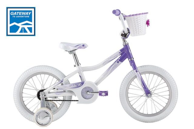 دوچرخه شهری جاینت کودک و نوجوان سایز 16 Giant Jr Puddin 16 2015