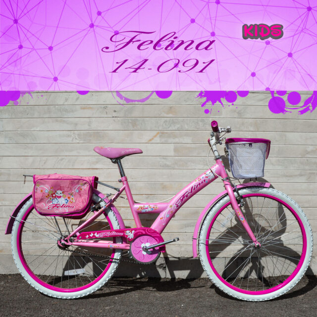 دوچرخه کویر مدل فلینا سایز 24 Kavir Bicycle Felina 24