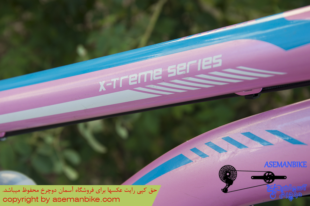 دوچرخه بانوان ترینکس مدل اکس ترم تیوبلس طراحی ایتالیتا Trinx Lady Bicycle D620L X-Treme Series Tubeless Italy Design