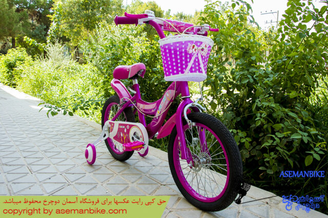 دوچرخه بچه گانه فلش مدل کلاسیک سایز 16 Flash Kids Bicycle Classic 16