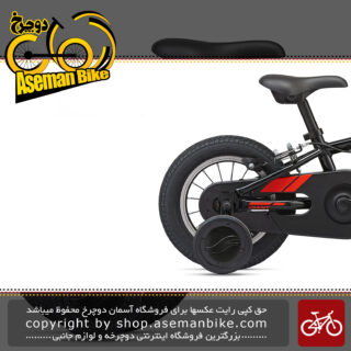 دوچرخه بچه گانه جاینت مدل انیماتور اف دبلیو سایز 12 2020 Giant Kids Bicycle Animator F/W 12 2020