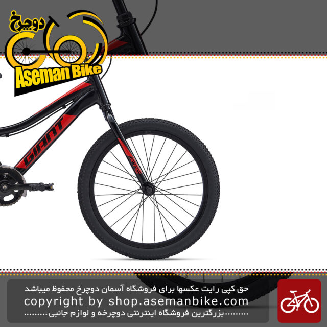 دوچرخه کوهستان جاینت مدل ایکس تی سی جی آر 20 اینچ سی بی 2020 Giant Mountain Bicycle XTC Jr 20 C/B 2020