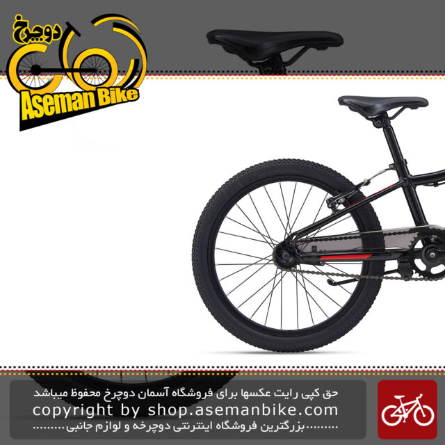 دوچرخه کوهستان جاینت مدل ایکس تی سی جی آر 20 اینچ سی بی 2020 Giant Mountain Bicycle XTC Jr 20 C/B 2020