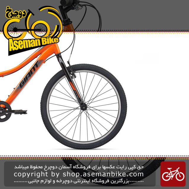 دوچرخه کوهستان جاینت مدل ایکس تی سی جی آر 24 اینچ لیت 2020 Giant Mountain Bicycle XTC Jr 24 Lite 2020