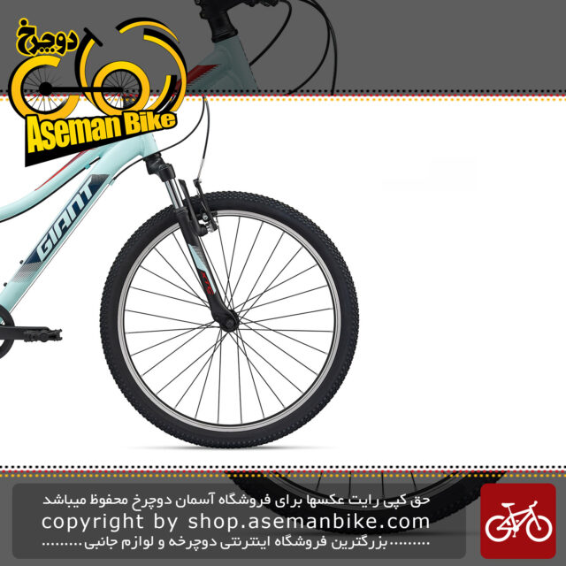 دوچرخه کوهستان جاینت مدل ایکس تی سی جی آر 24 اینچ 2020 Giant Mountain Bicycle XTC Jr 24 2020