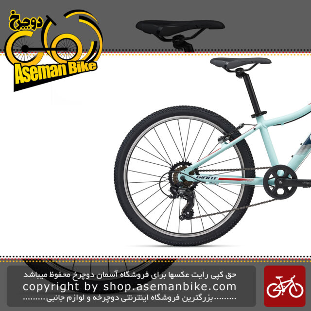 دوچرخه کوهستان جاینت مدل ایکس تی سی جی آر 24 اینچ 2020 Giant Mountain Bicycle XTC Jr 24 2020