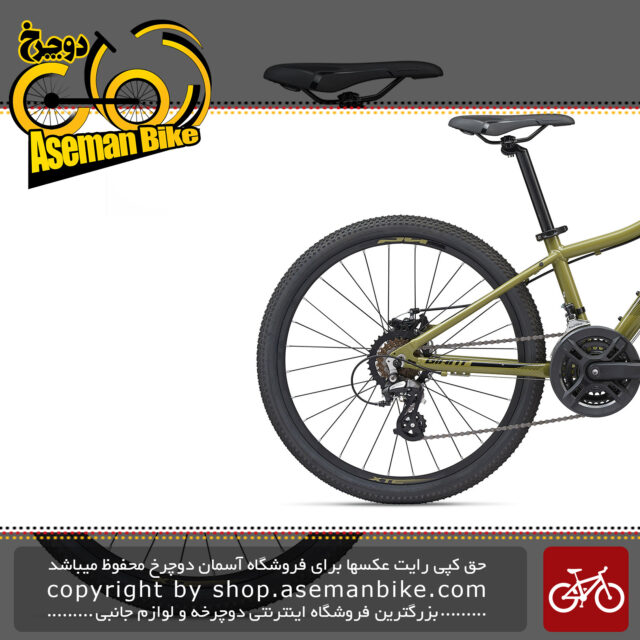 دوچرخه کوهستان جاینت مدل ایکس تی سی اس ال جی آر دیسک هیدرولیک 24 اینچ 2020 Giant Mountain Bicycle XtC Jr Disc 24 2020
