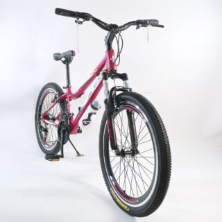 دوچرخه کوهستان برند الکس مدل تراست سایز 26 با سیستم دنده 21 سرعته MTB Bicycle Alex Trust Size 26 21 Speed