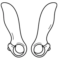 شاخ گاوی دوچرخه
