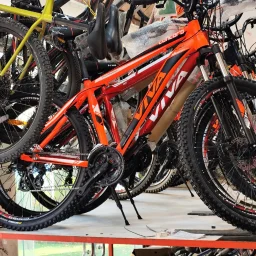 دوچرخه کوهستان VIVA CONCORD ویوا کانکورد سایز 29 | قدرت و استقامت در مسیرهای ناهموار